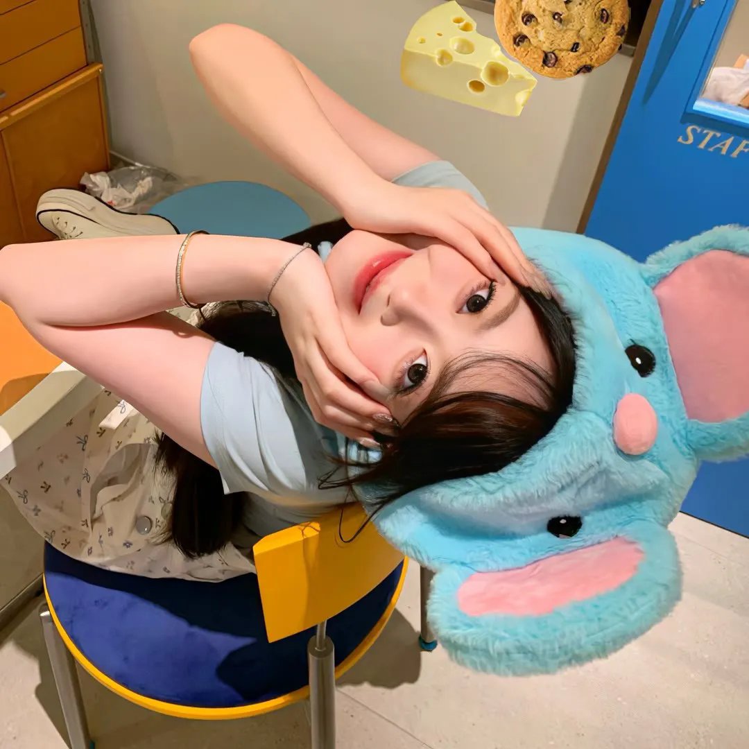 家有猩猩宝贝